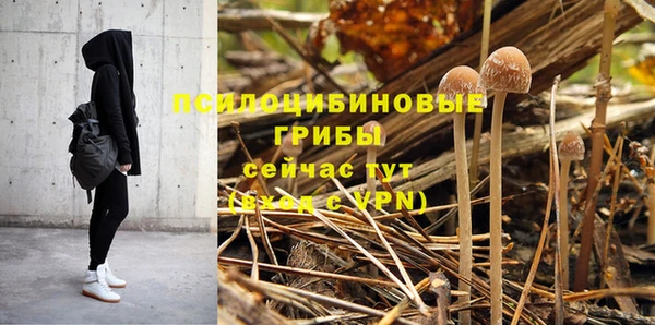 мдма Гусиноозёрск