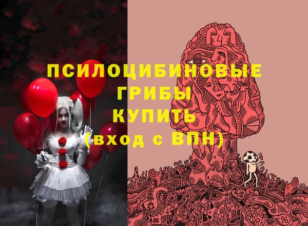 мдма Гусиноозёрск