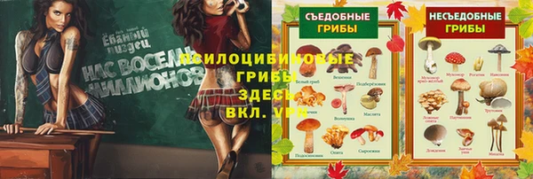 mix Гусь-Хрустальный