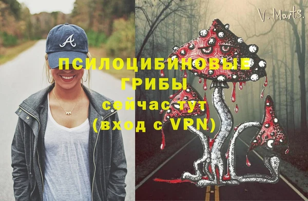 mix Гусь-Хрустальный