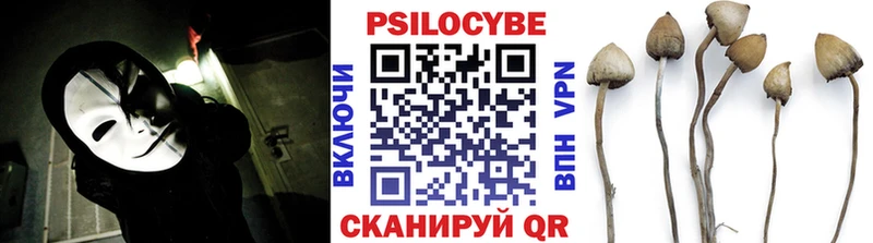 цена   Псков  Псилоцибиновые грибы Psilocybe 